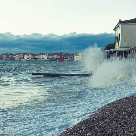 Deas Apartment Piran
